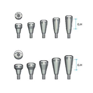 Pilier de cicatrisation [MN]