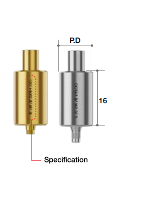 Pilier TiGEN Type standard/NT [AR]