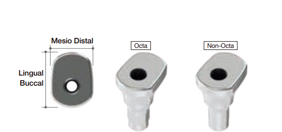 Pilier anatomique de cicatrisation (BD)